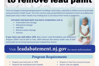 Lead Remediation and Abatement Program (LRAP)